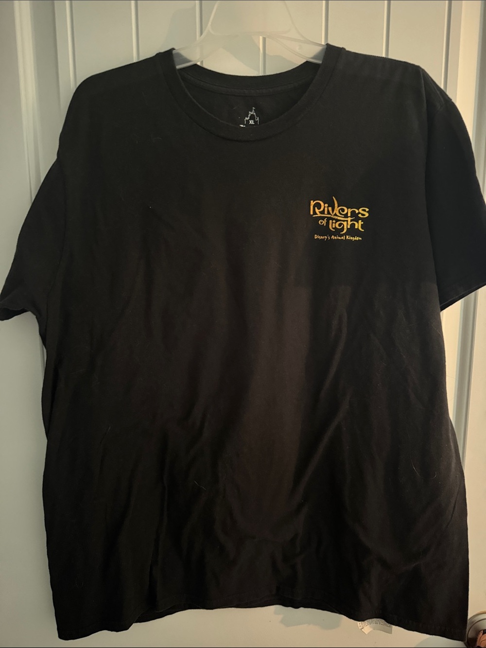 Hanes Black Short Sleeve Tee with Gold "Rivers of Light" Logo